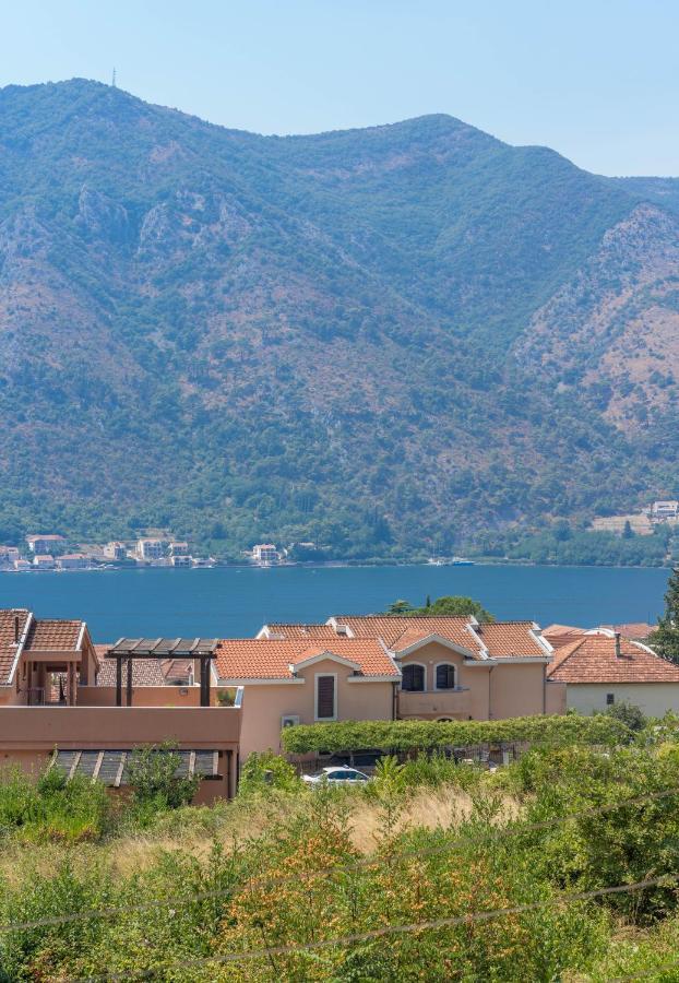 Apartament Sunshine Kotor Zewnętrze zdjęcie